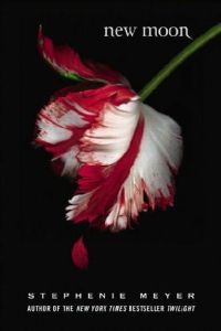 newmoon_book