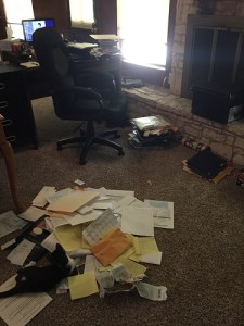 06 papers in progress